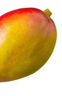 IMAGE104137