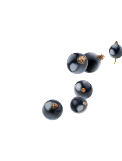 IMAGE203266
