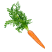 IMAGE234124