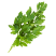 IMAGE234126
