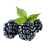 IMAGE234134